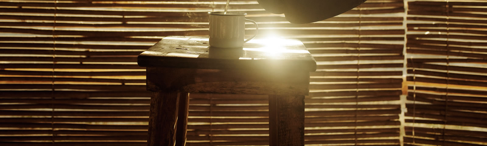 Sonne und Holz - das Licht lässt schöne Möbel erblühen